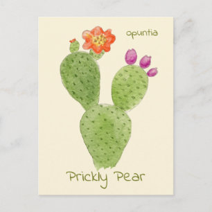 Carte postale Prickly Pear Cactus