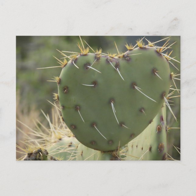 Carte Postale Prickly Pear Heart (Devant)