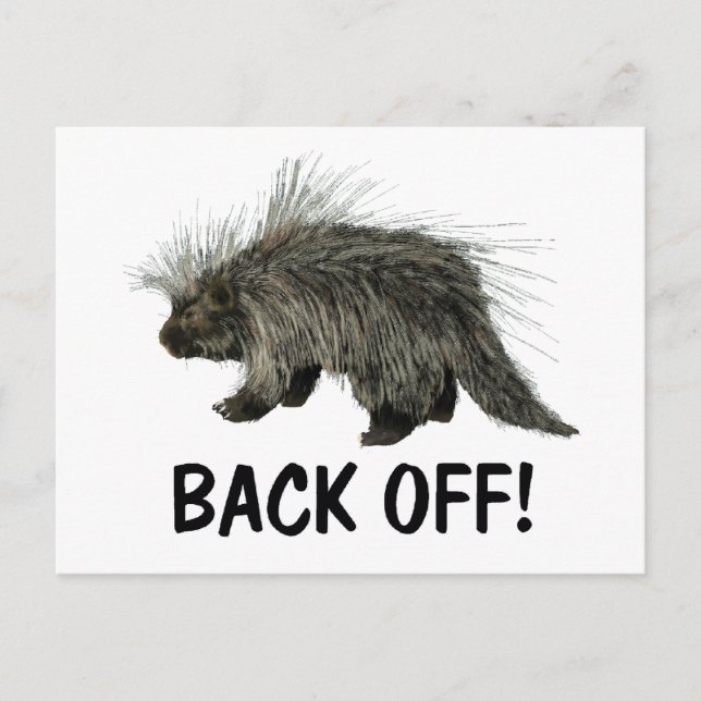 Carte Postale Prickly Porky (Devant)