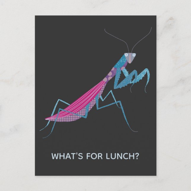 Carte Postale Prier Mantis Texte personnalisé (Devant)