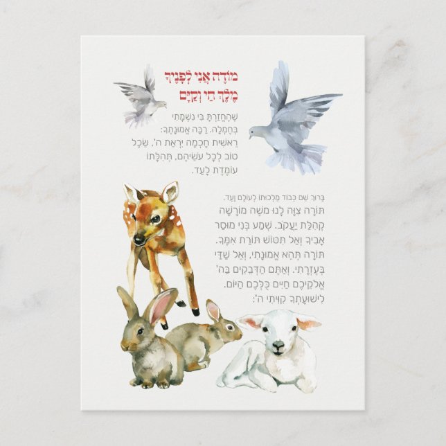 Carte Postale Prière du matin Hebrew Modeh Ani Enfants juifs (Devant)