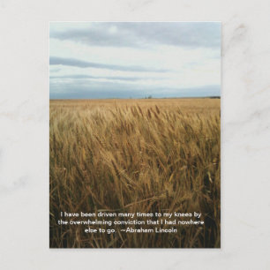 Carte Postale prière sur le champ de blé