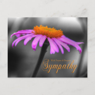 Carte Postale Prières et Sympathie Conflower violet orange