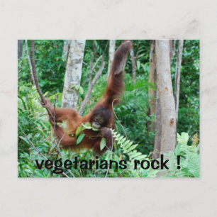 Carte Postale Primate Vegetariens Rock!