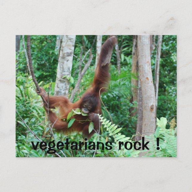 Carte Postale Primate Vegetariens Rock! (Devant)