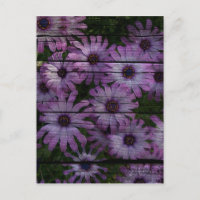 Primitive Western Country Barn Board marguerite vi