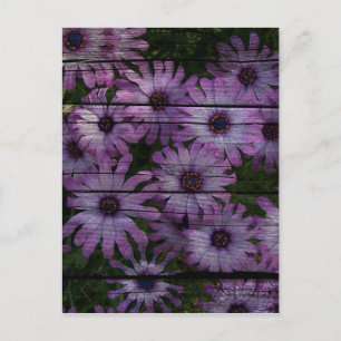 Carte Postale Primitive Western Country Barn Board marguerite vi