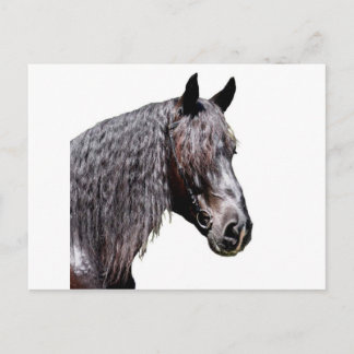 Carte Postale Prince