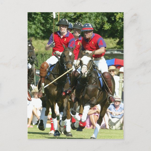 Carte Postale Prince Charles William Harry polo (Devant)