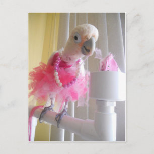 Carte postale Princess Ella