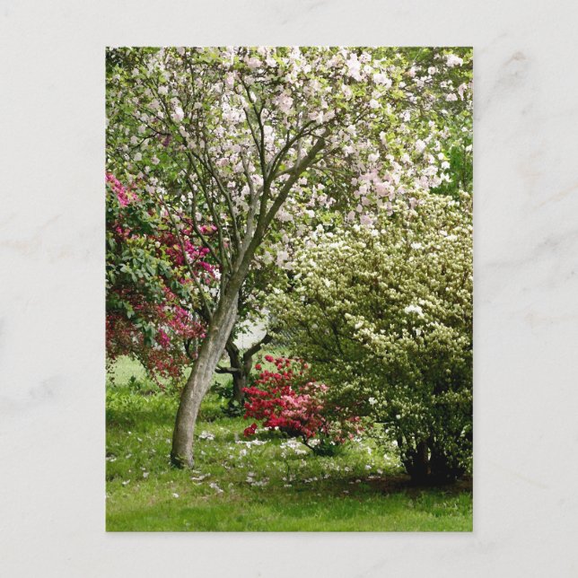 Carte Postale Printemps (Devant)
