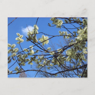 Carte Postale Printemps