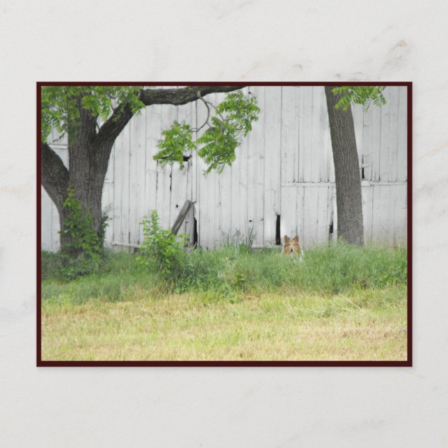 Carte Postale ~ Printemps 36 ~ (Devant)