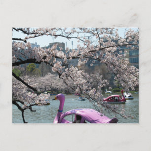 Carte Postale Printemps à Shinobazu Pond : Ueno, Tokyo