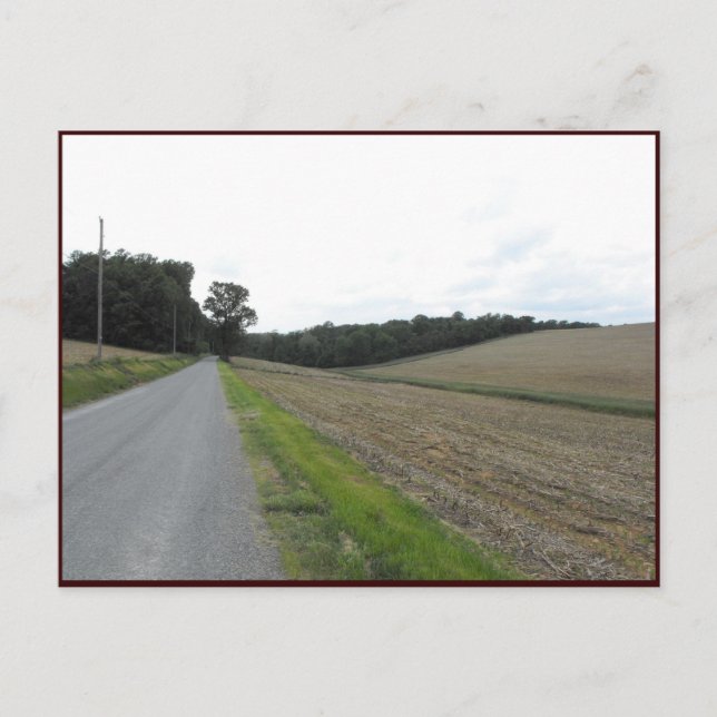 Carte Postale ~ Printemps dans le comté de Lancaster ~ 70 (Devant)