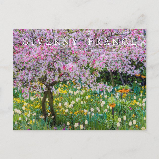 Carte Postale Printemps dans le jardin de Claude Monet | Merci (Devant)