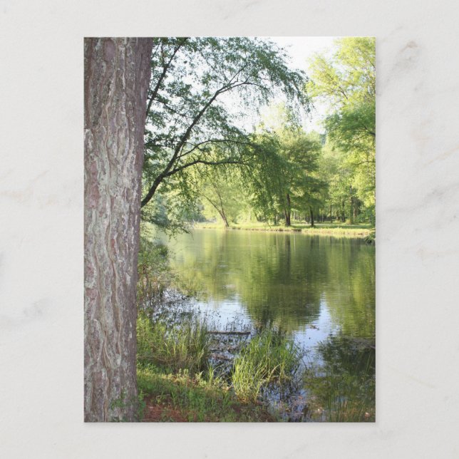 Carte postale "Printemps dans l'est du Tennessee" (Devant)