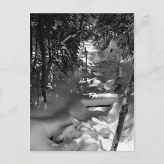 Carte postale Printemps de l'érable - 1