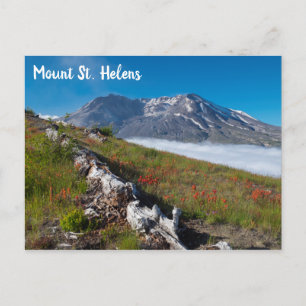 Carte Postale Printemps sur le Mont St. Helens