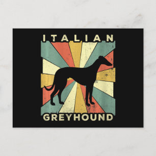 Carte Postale Probablement en Italie Greyhound Dog 70