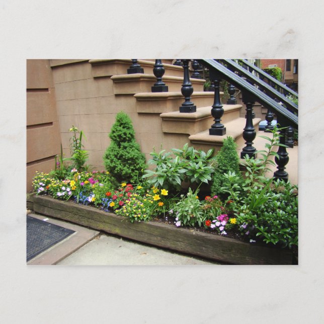 Carte Postale Problème Pot O (Devant)