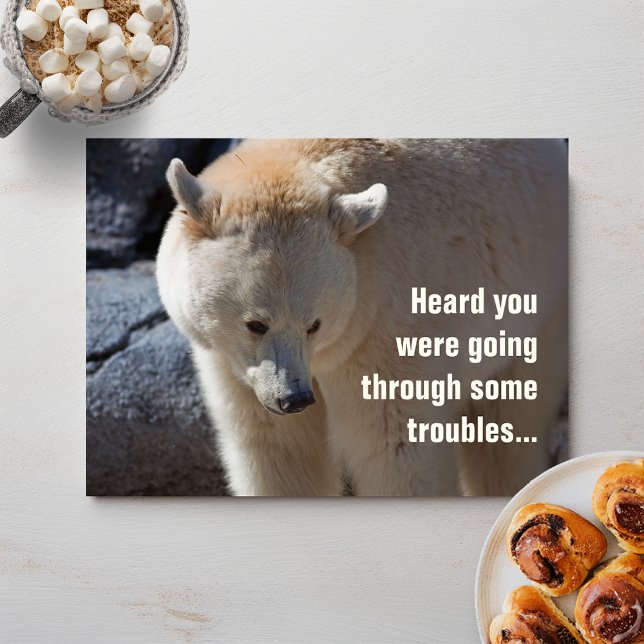 Carte postale ・ problèmes de port Kermode Bear (Créateur téléchargé)