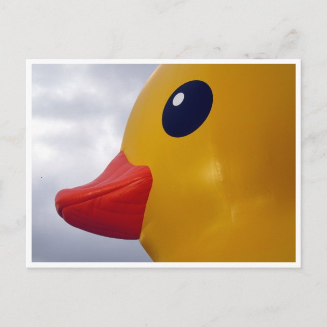Carte Postale profil de canard en caoutchouc (Devant)