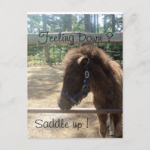 Carte Postale profil de poney