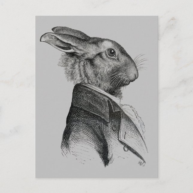 Carte Postale Profil de portrait de lapin (Devant)