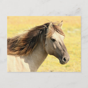 Carte Postale Profil du cheval beige