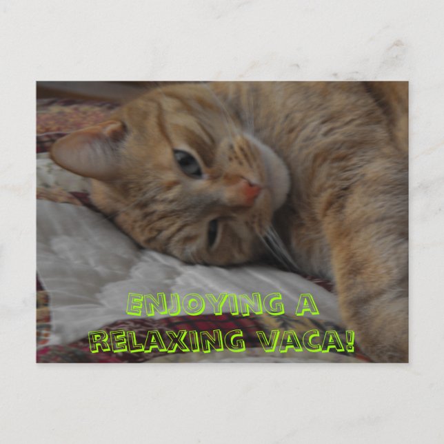 Carte Postale , Profitez d'un séjour de détente ! (Devant)
