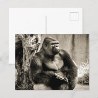 Carte postale PROFONDE EN PENSÉE