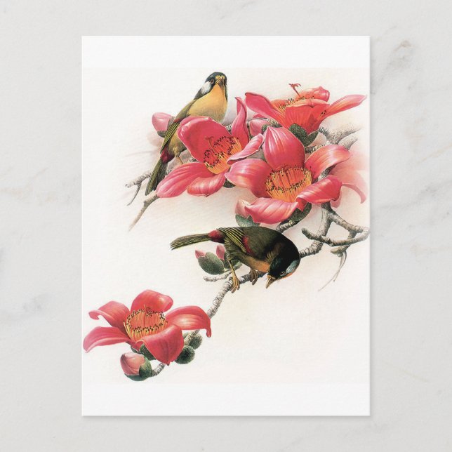 Carte Postale Profusion rose (Devant)