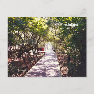 Carte Postale Promenade à Davis Park on Fire Is.