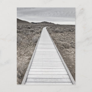 Carte Postale Promenade à travers le désert