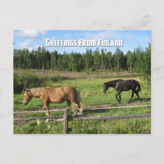 Carte Postale Promenade dans la campagne finlandaise
