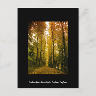 Carte Postale Promenade d'automne