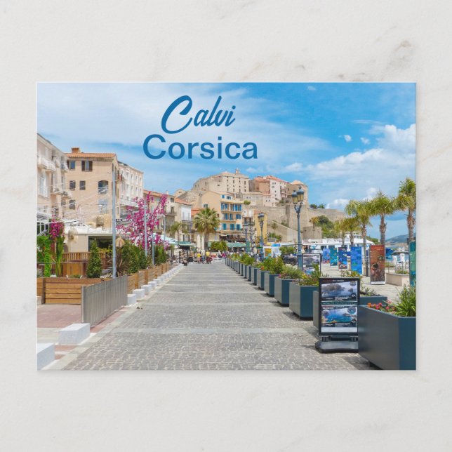 Carte Postale Promenade de Calvi en Corse (Devant)