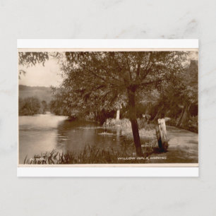 Carte Postale Promenade des saules Dorking Vue sépia vintage