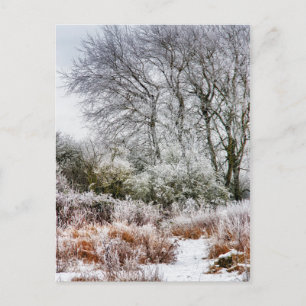 Carte Postale Promenade d'hiver