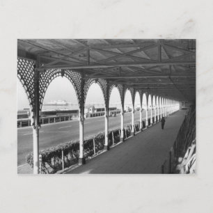 Carte Postale Promenade matinale