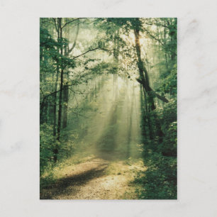 Carte Postale Promenade tranquille