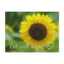Prompt rétablissement : Tournesol lumineux et joye