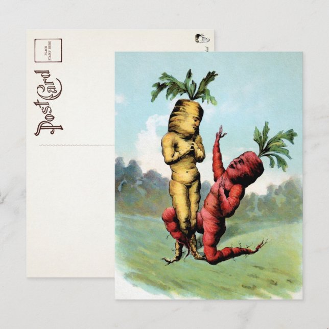 Carte postale Proposition de carottes de Victoria  (Devant / Derrière)
