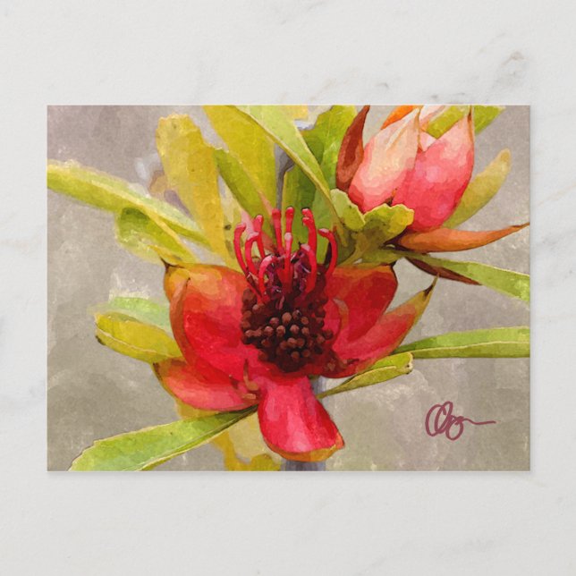 Carte Postale Protea Love (Devant)