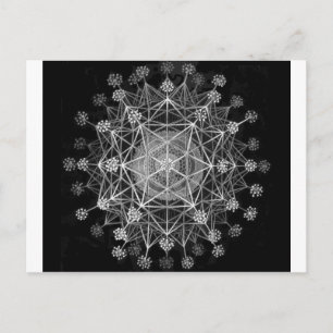 Carte Postale Protozoaires Amoeboïdes