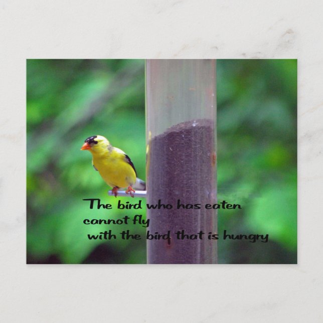 Carte Postale Proverbe amérindien (Devant)