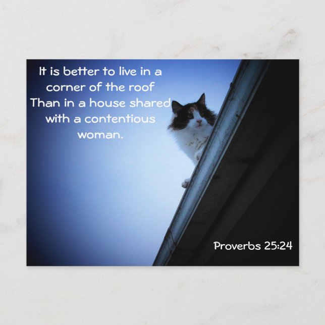 Carte Postale Proverbes 25 24 Chat sur un mème de toit (Devant)