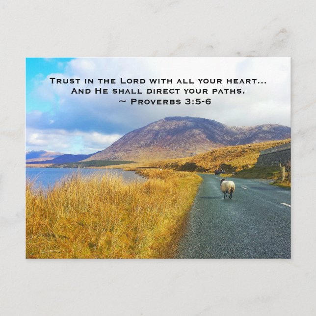 Carte Postale Proverbes 3:5-6 Faites confiance au Seigneur, Bell (Devant)