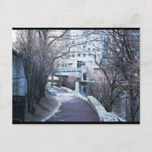 Carte postale Providence River Walk